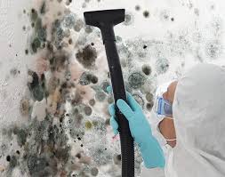 Best Mold Odor Removal Services  in USA